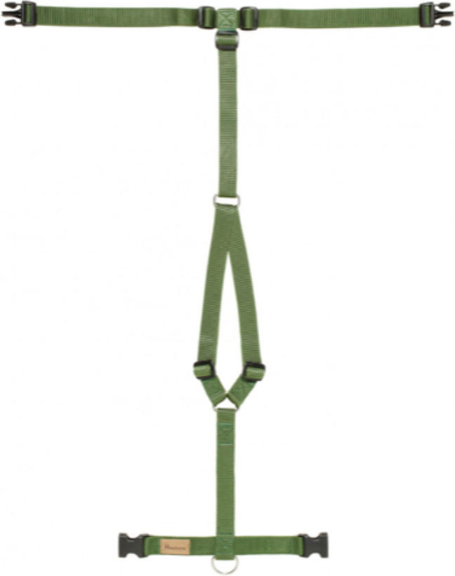 Haqihana Pettorina ad H Verde in Nylon per Cani L