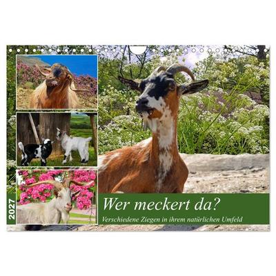 Wer meckert da? (Wandkalender 2027 DIN A4 quer), CALVENDO Monatskalender