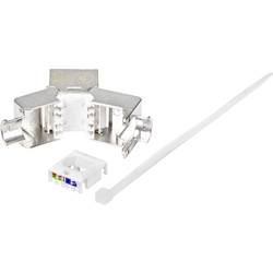 Renkforce RJ45-Einbaumodul Keystone CAT 6a 1 St. RF-4531196