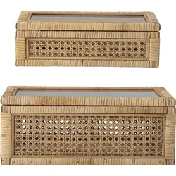 Nature Boxen 2 St.