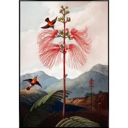 Bild Elena ca. 70x100cm