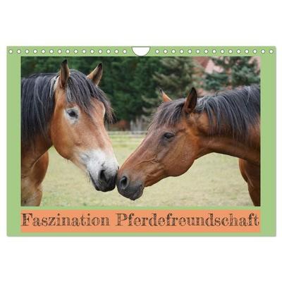 Faszination Pferdefreundschaft (Wandkalender 2027 DIN A4 quer), CALVENDO Monatskalender