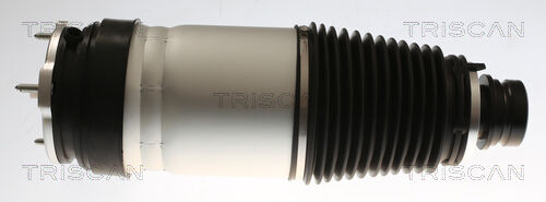 Triscan Luftfeder, Fahrwerk 8720 81101 Für Tesla