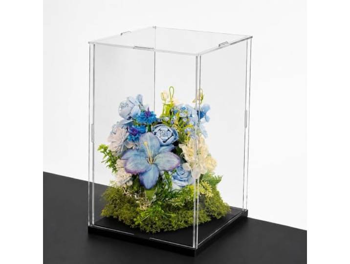 WLCGYD Acryl Vitrine Transparente Acryl-Vitrine (staubgeschützt) Mit Tür Maßgefertigt, Stapelbarer Sockel, Hohe Transparenz – Geeignet Für Helme, Eishockey-Pucks, Miniaturhäuser Und Trophäen