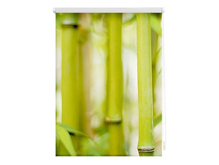 Lichtblick Rollo Verdunkelung ohne Bohren 45 x 150 cm