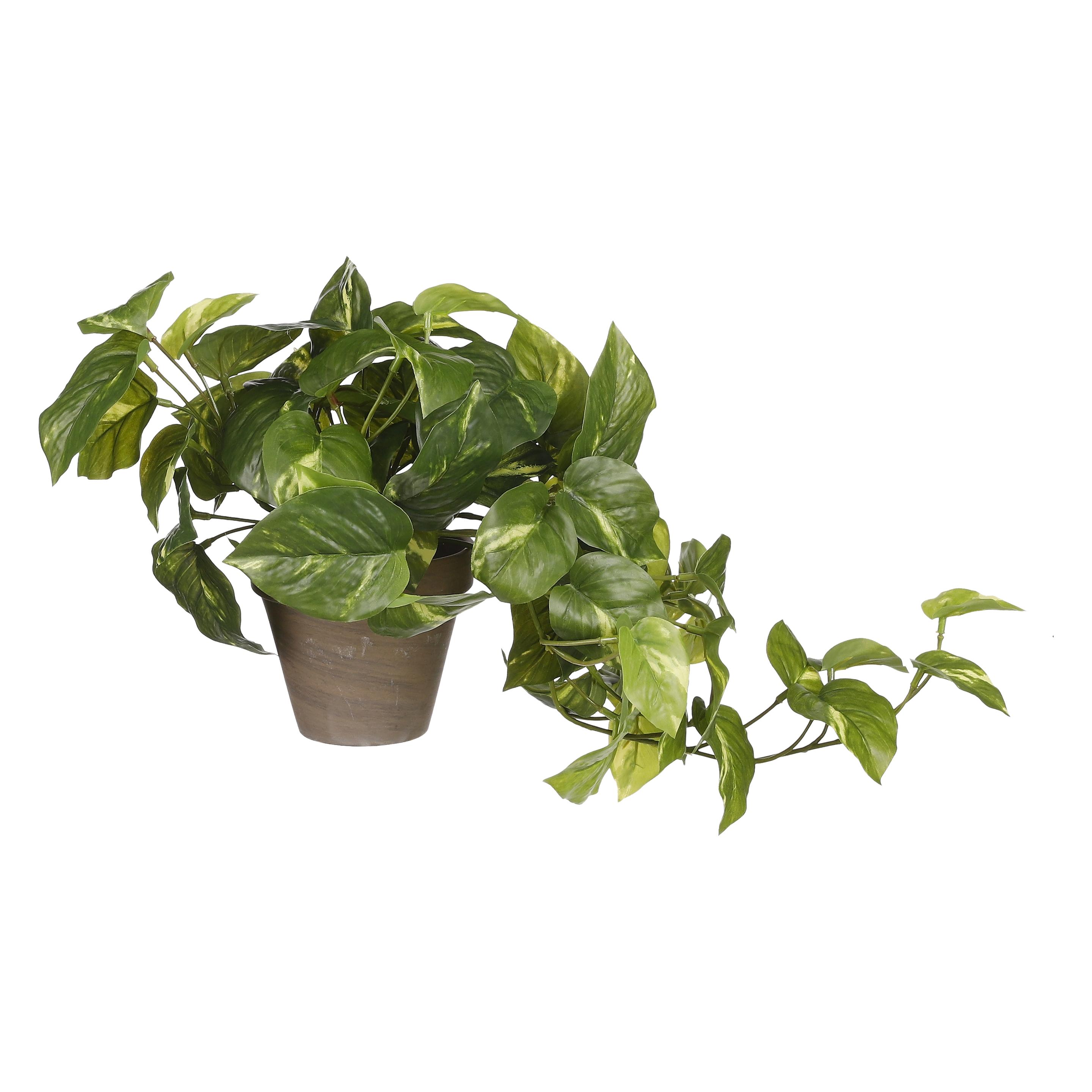 Mica Decorations Pothos Kunstpflanze im Blumentopf Stan - H44 x Ø17 cm - Grün (44 cm) (1116842)