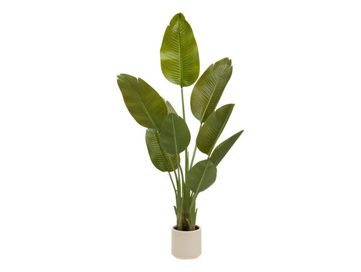 Atmosphera Createur d´interieur Bananenpflanze Lora 100/80/140 cm, Grün, Kunststoff, 140 cm, Dekoration, Blumen & Blumentöpfe, Kunstblumen