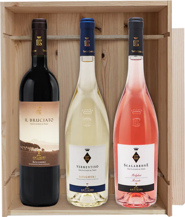 Guado al Tasso - Antinori Box 'Bruciato-Vermentino-Scalabrone' (3bt)