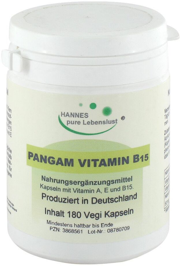 Pangam Vitamin B15 Vegi Kapseln