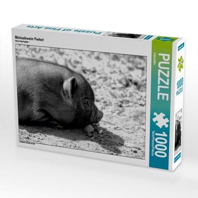 CALVENDO Puzzle Minischwein Ferkel | 1000 Teile Lege-Größe 64x48cm Foto-Puzzle für glückliche Stunden