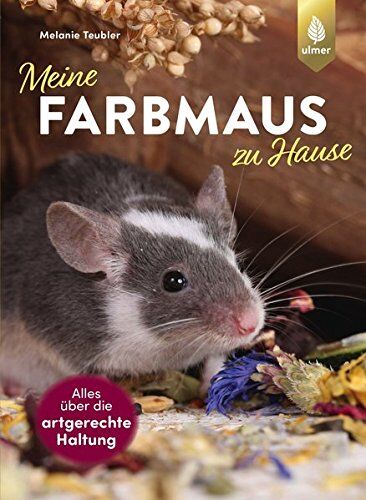 Melanie Teubler - Meine Farbmaus zu Hause - Preis vom 04.10.2026 03:51:26 h