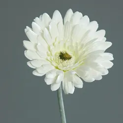 Kunstblume Gerbera (H 56 cm) - H 56 cm