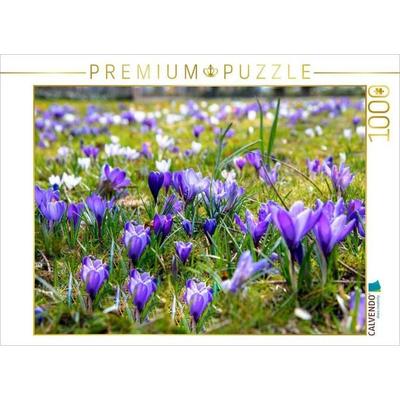 CALVENDO Puzzle Krokusse im Park | 1000 Teile Lege-Größe 64x48cm Foto-Puzzle für glückliche Stunden