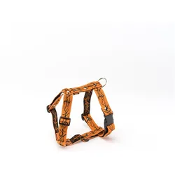 Alter Ego Italy Tatoo (L, Hund, Spazieren), Halsband + Leine