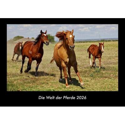 Die Welt der Pferde 2026 Fotokalender DIN A3