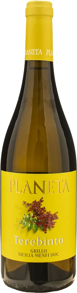 Planeta Terebinto Grillo 2025