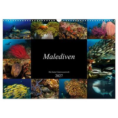 Malediven - Die bunte Unterwasserwelt (Wandkalender 2027 DIN A3 quer), CALVENDO Monatskalender