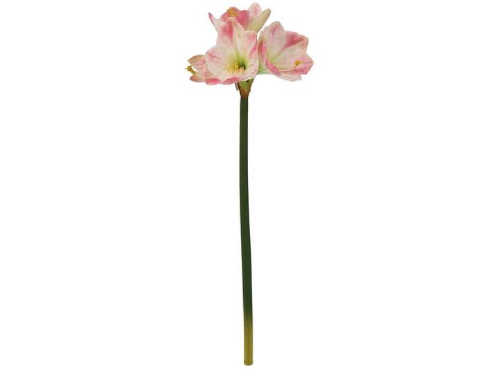 Kunstblume RASHA