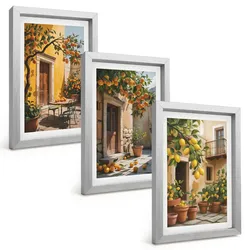 BILDER SET 3er Set - 20x30 cm Silberner Rahmen - Zitrusfrüchte, Hofpflanzen