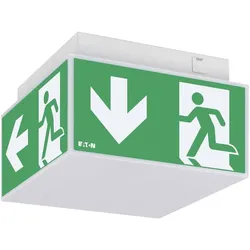 Ceag, Sicherheitskennzeichnung, LED-Würfel