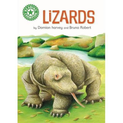 Reading Champion, Gebundene Ausgabe von Damian Harvey, Hachette Children's Book, 978-1-4451-7526-3