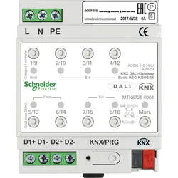 APC, Zubehör Schalterprogramm, Schneider Electric KNX DALI-Gateway Basic REG-K/2/16/64 2Kanal MTN6725-0004