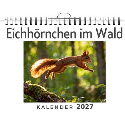 Eichhörnchen im Wald