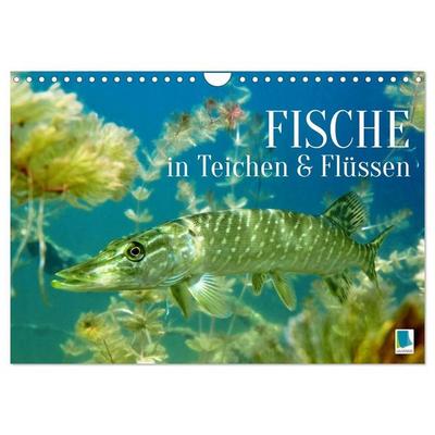 Fische in Teichen und Flüssen (Wandkalender 2027 DIN A4 quer), CALVENDO Monatskalender