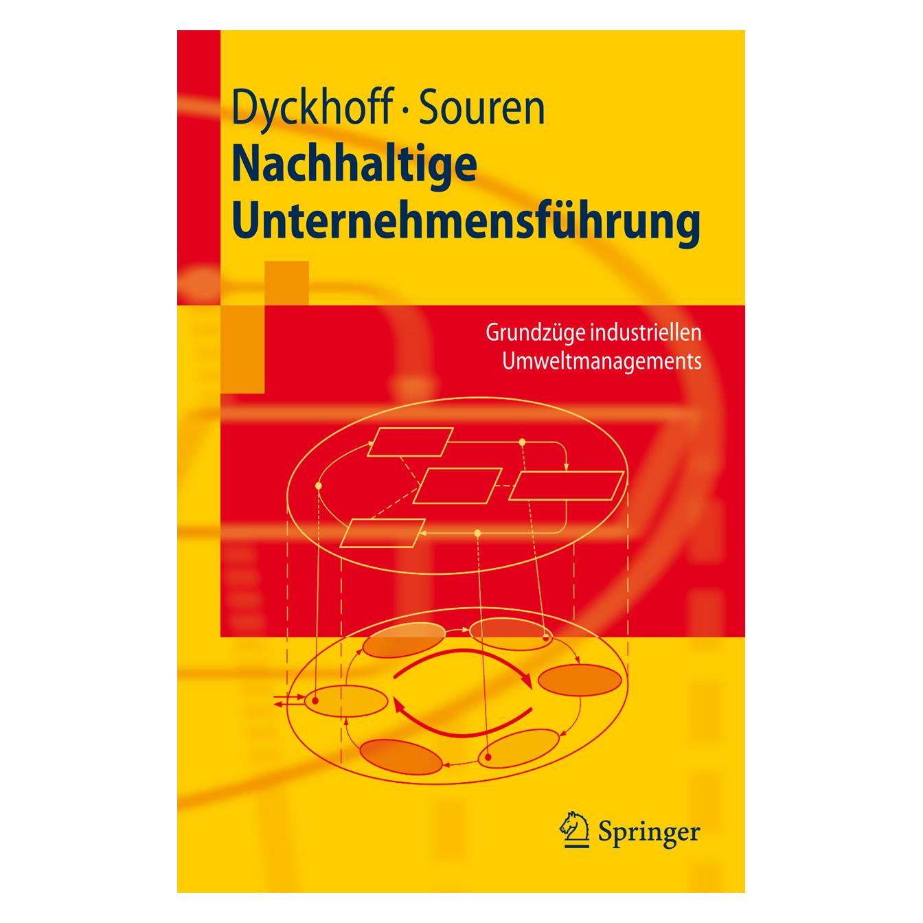Springer Nachhaltige Unternehmensführung (Deutsch, Softcover, Harald Dyckhoff, Rainer Souren) (55189633)