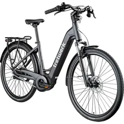 Tretwerk Amber Nexus E Bike Damen 28 Zoll Elektrofahrrad 155 - 185 cm Hollandrad Tiefeinsteiger mit 8 Gang Nabenschaltung