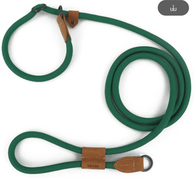Inspire Picks FlexTrail Adjustable Hands Free Dog Leash For Walking & Running green 300cm