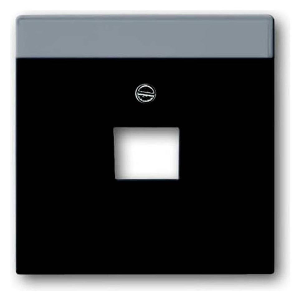 Busch-Jaeger Zentralscheibe (2CKA001710A3616)