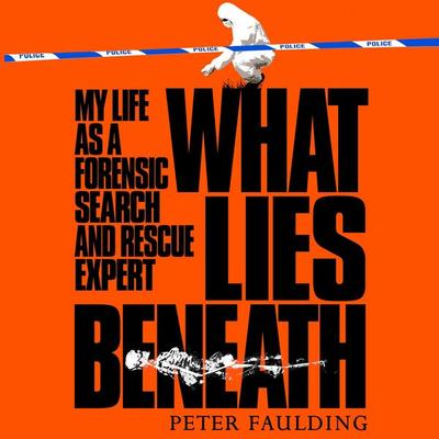 What Lies Beneath - Peter Faulding, Audio, 9781035005925