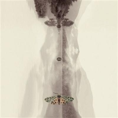 Lunz (Remastered 20th Anniversary Special Edition) - Lunz, Vinyl