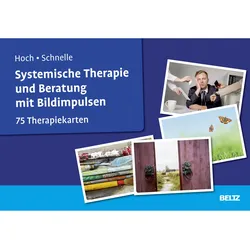 Hoch:Systemische Therapie und Beratung, Fachbücher von Roman Hoch, Heliane Schnelle