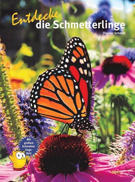 Thomas Schmidt - Entdecke die Schmetterlinge (Entdecke - Die Reihe mit der Eule: Kindersachbuchreihe) - Preis vom 30.09.2026 22:30:23 h