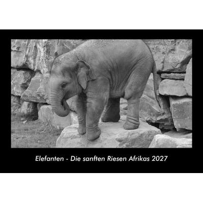 Elefanten - Die sanften Riesen Afrikas 2027 Fotokalender DIN A3