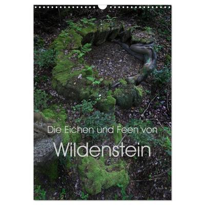 Die Eichen und Feen von Wildenstein (Wandkalender 2026 DIN A3 hoch), CALVENDO Monatskalender