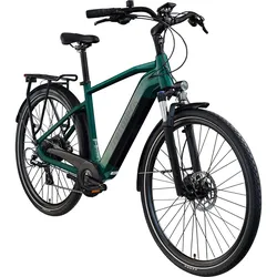 Tretwerk Onyx E Bike Trekkingrad ab 165 cm Elektrofahrrad 550 Wh Pedelec Trekking Rad Fahrrad mit 8 Gang und Beleuchtung StVZO