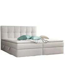 BOXBETT Arturo In Soro
