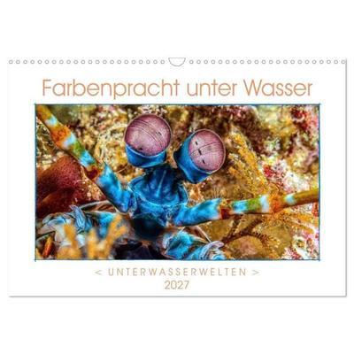 Farbenpracht unter Wasser (Wandkalender 2027 DIN A3 quer), CALVENDO Monatskalender