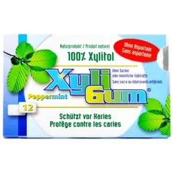 Kaugummi - Peppermint 16,8g