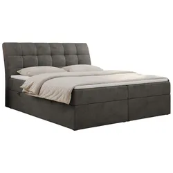 BOXBETT DIEGOS 180/200 Dunkelgrau Velvet - H3