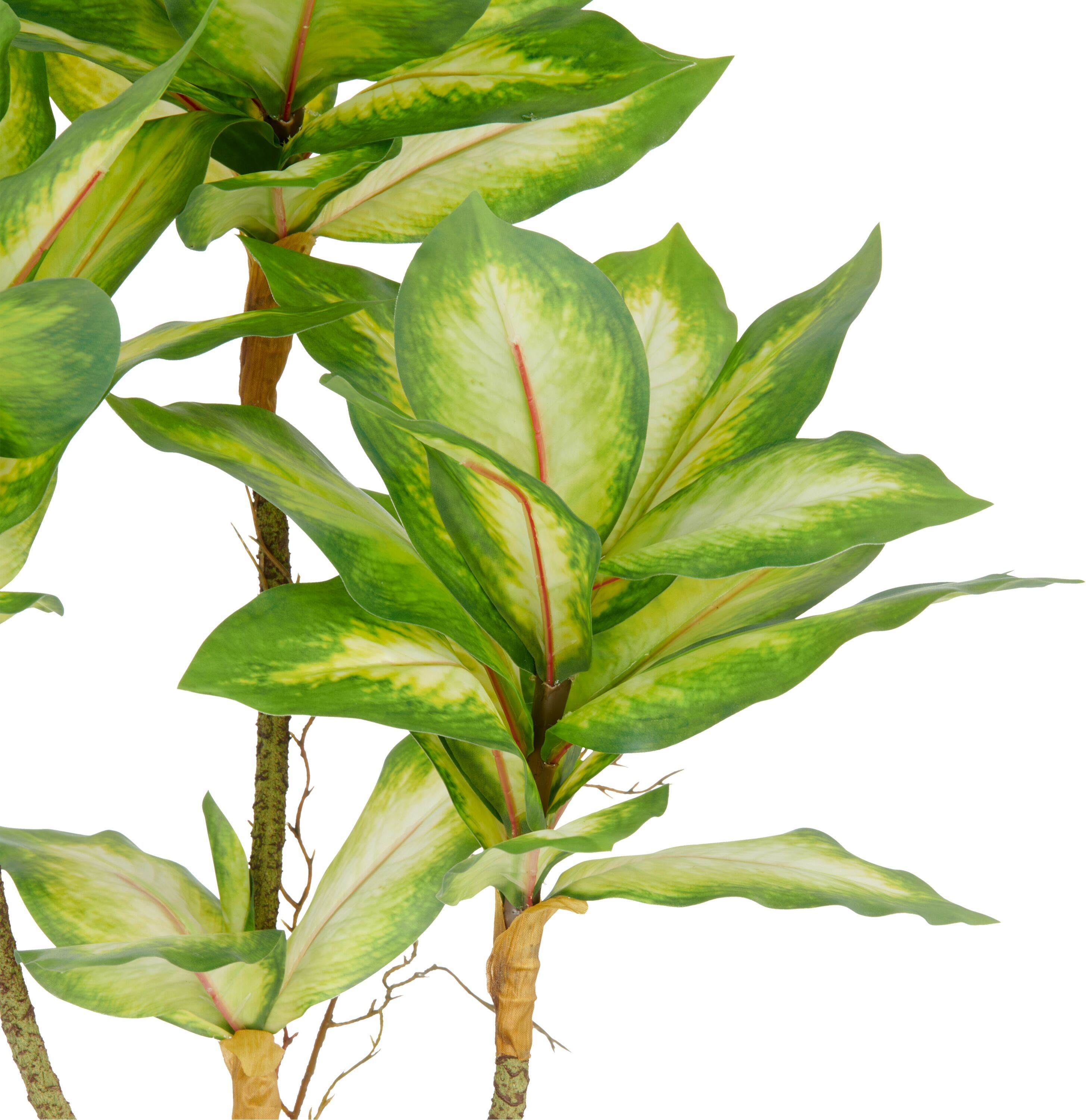 Kunstpflanze CREATIV GREEN "Dieffenbachia", grün, H:65cm, Kunststoff, Kunstpflanzen, Kunstpflanze, mit Luftwurzeln