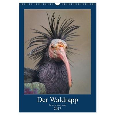 Der Waldrapp - Der etwas andere Vogel (Wandkalender 2027 DIN A3 hoch), CALVENDO Monatskalender