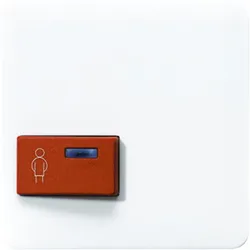 Jung Abdeckung aws CD 022 A-1 WW