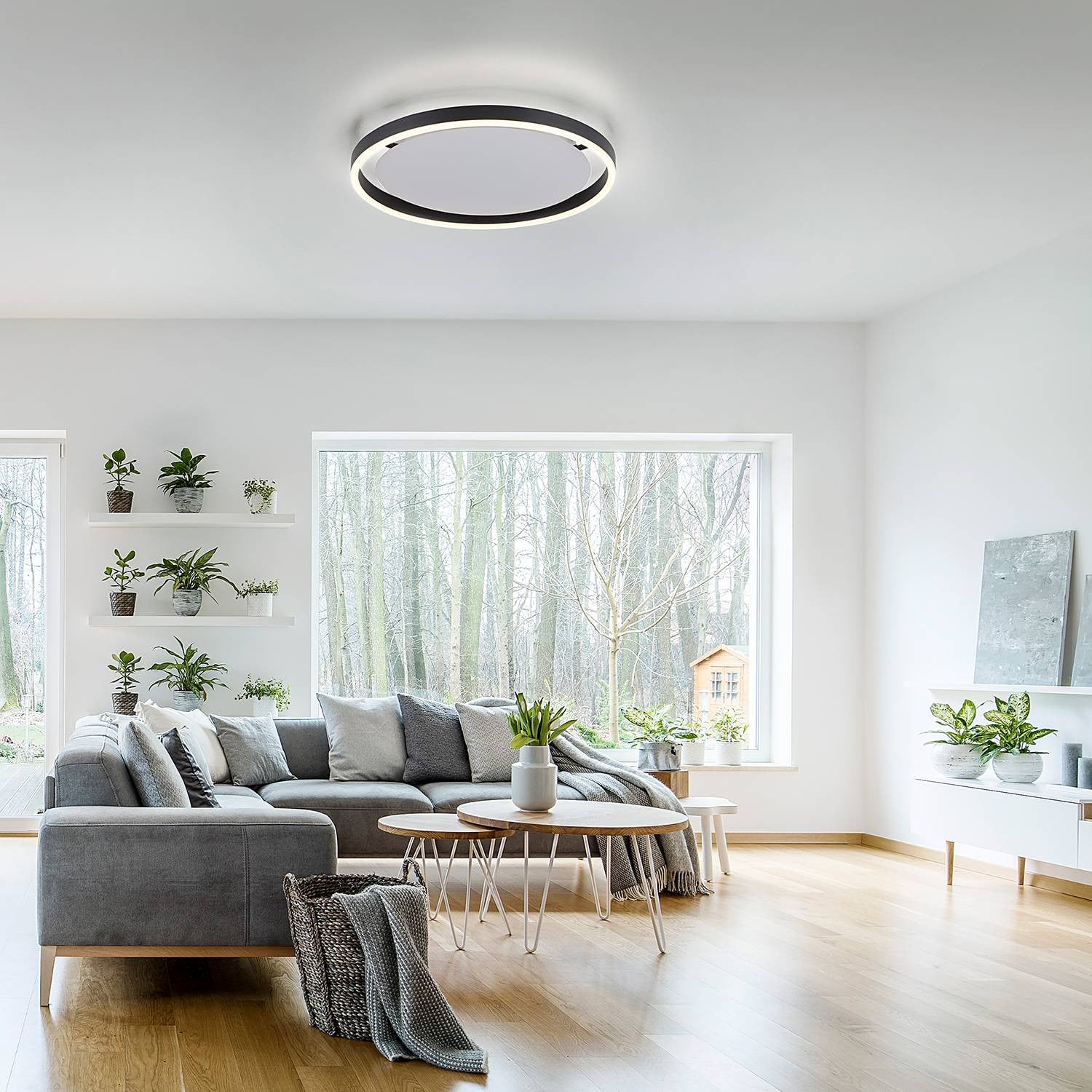 Paul Neuhaus Ritus LED-plafondlamp zwart, dimbaar, Ø 39,3 cm