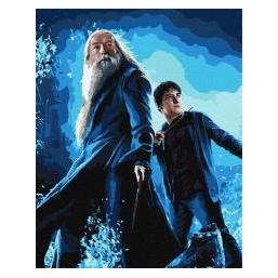 Ideyka Malen nach Zahlen - Harry Potter 40x50cm (70187521)