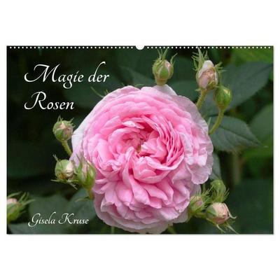 Magie der Rosen (Wandkalender 2026 DIN A2 quer), CALVENDO Monatskalender