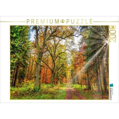 CALVENDO Puzzle Märchenhafter Wald mit knorrigen Eichen im Herbstlicht lädt zum Wandern ein, Hessen Deutschland | 2000 Teile Lege-Größe 90x67cm